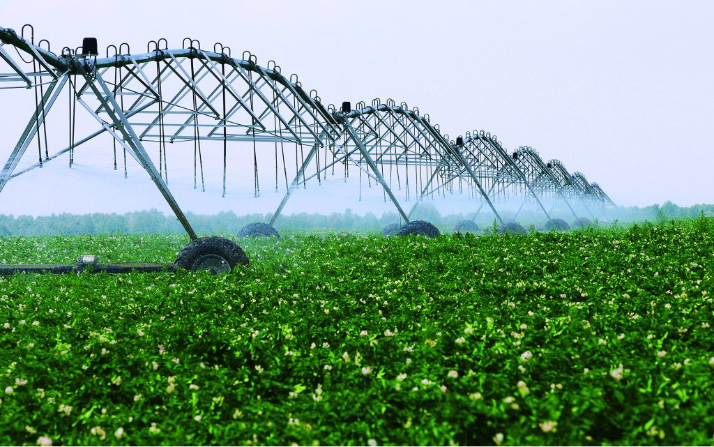 Hongji Potato Flakes Manufacturer 1 Hongji agriculture potato planting base