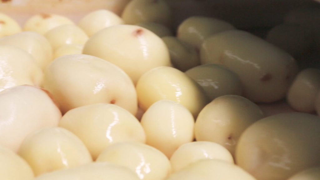 potato flakes production - cooking potato