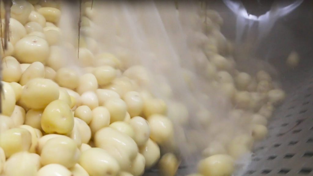 potato flakes production - peeling potato