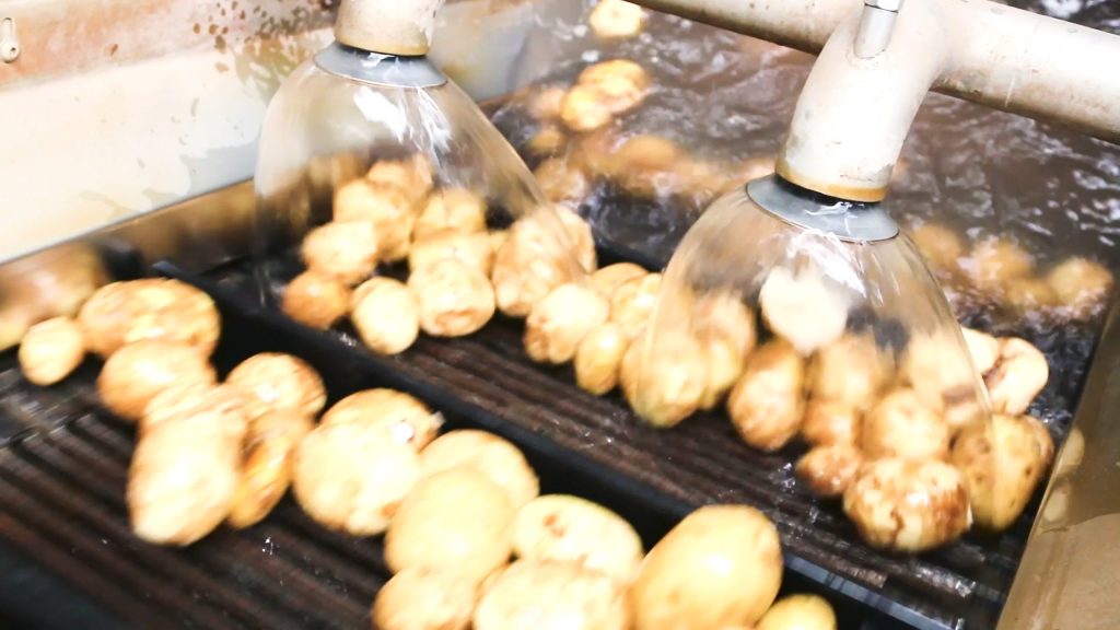 potato flakes production - washing potato