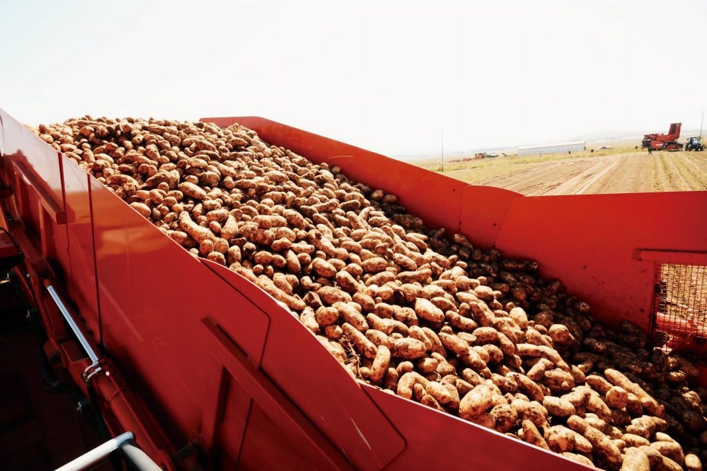 Hongji Potato Flakes Manufacturer 12 China Potato Flakes Manufacturer - HONGJI Agriculture